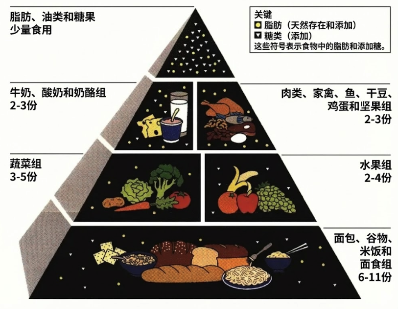 旧食物金字塔
